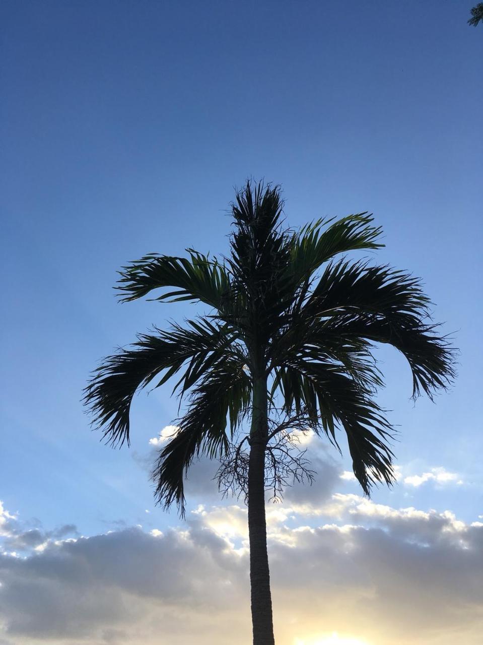 Y' Rise To Hotel Miyakojima Exterior foto